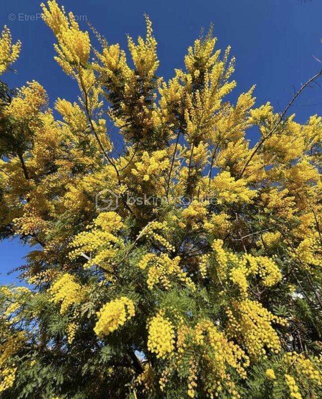 Maison à SALON-DE-PROVENCE
