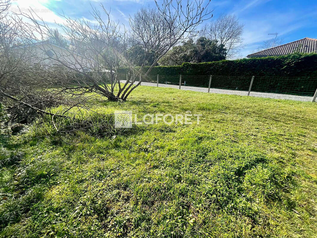 Parking à CUSSAC-FORT-MEDOC