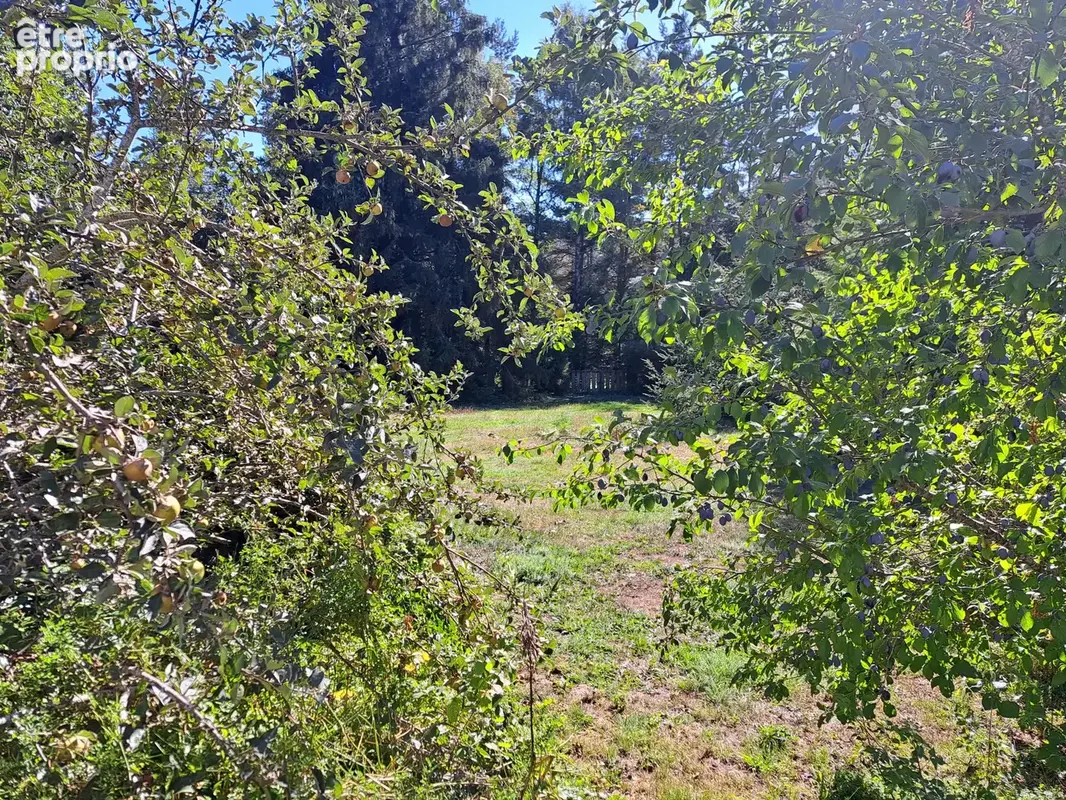 Charmante maison, en partie en pierre sur 1476 m2 de terrain - photo 3