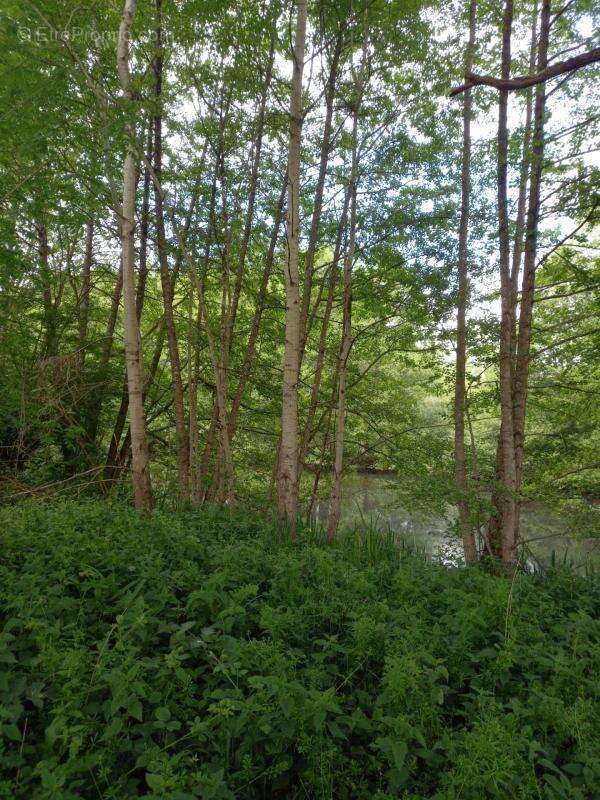 Terrain à vendre de 405,00 m² Proche de COURTEMAUX (45320) - photo 5