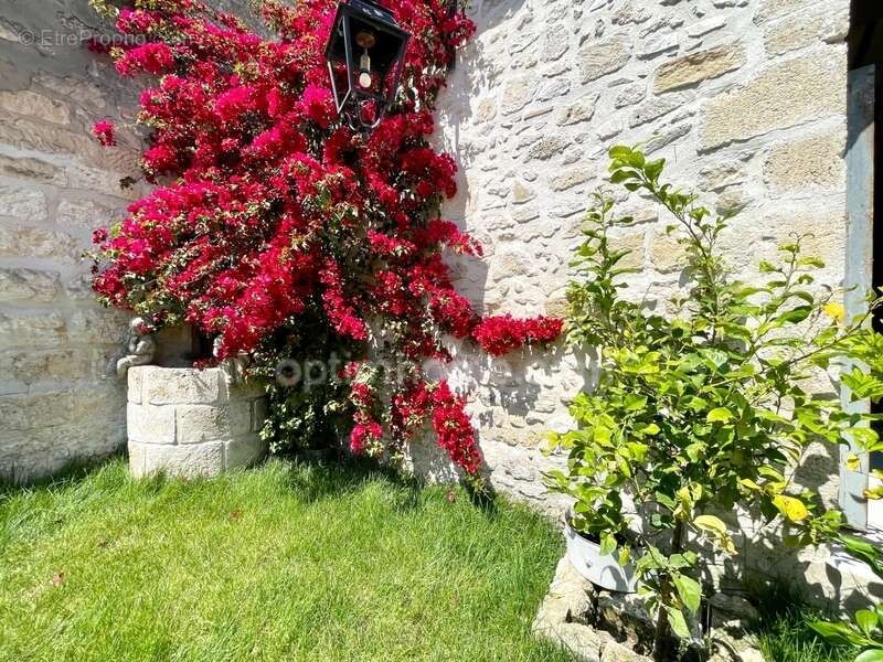 Maison à AIGUES-MORTES