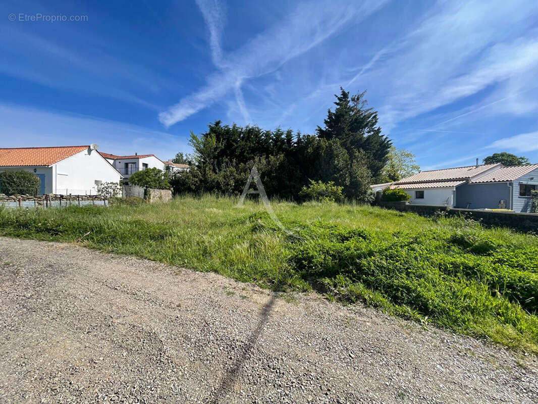 Terrain à TALMONT-SAINT-HILAIRE