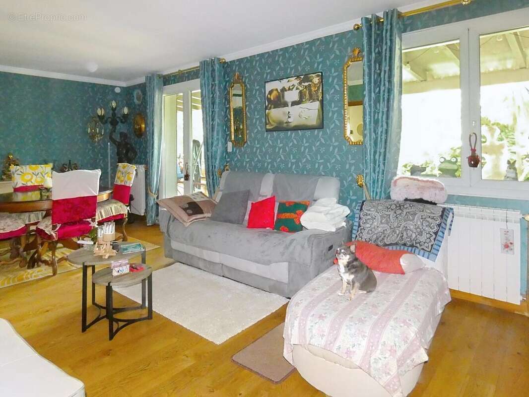 Photo 5 - Maison à PEYRIAC-MINERVOIS