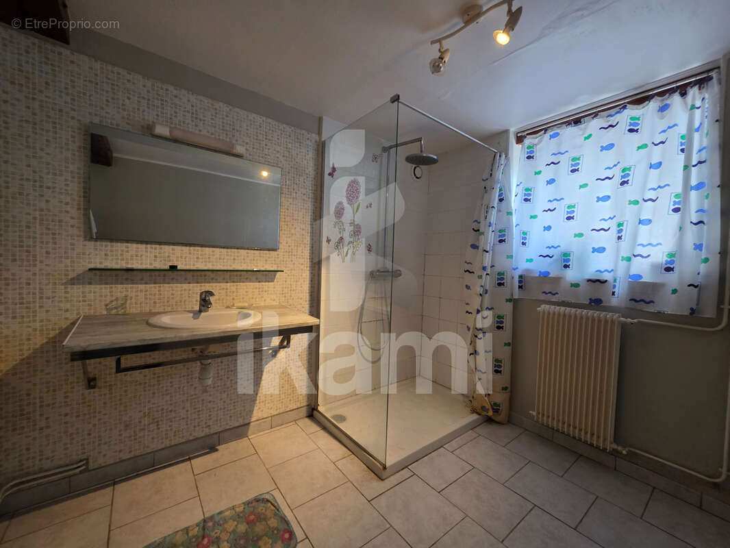 Magnifique longère 184m2 sur terrain arboré de 2761m2 en bord de rivière - photo 8