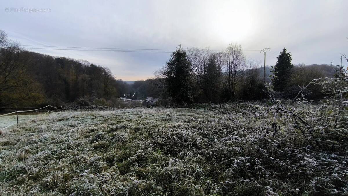 Terrain à LA VAUPALIERE