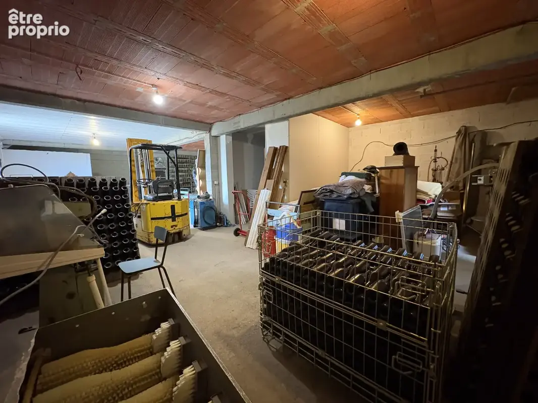 3 km de Limoux - Propriété avec appartement, dépendances et vigne - photo 34