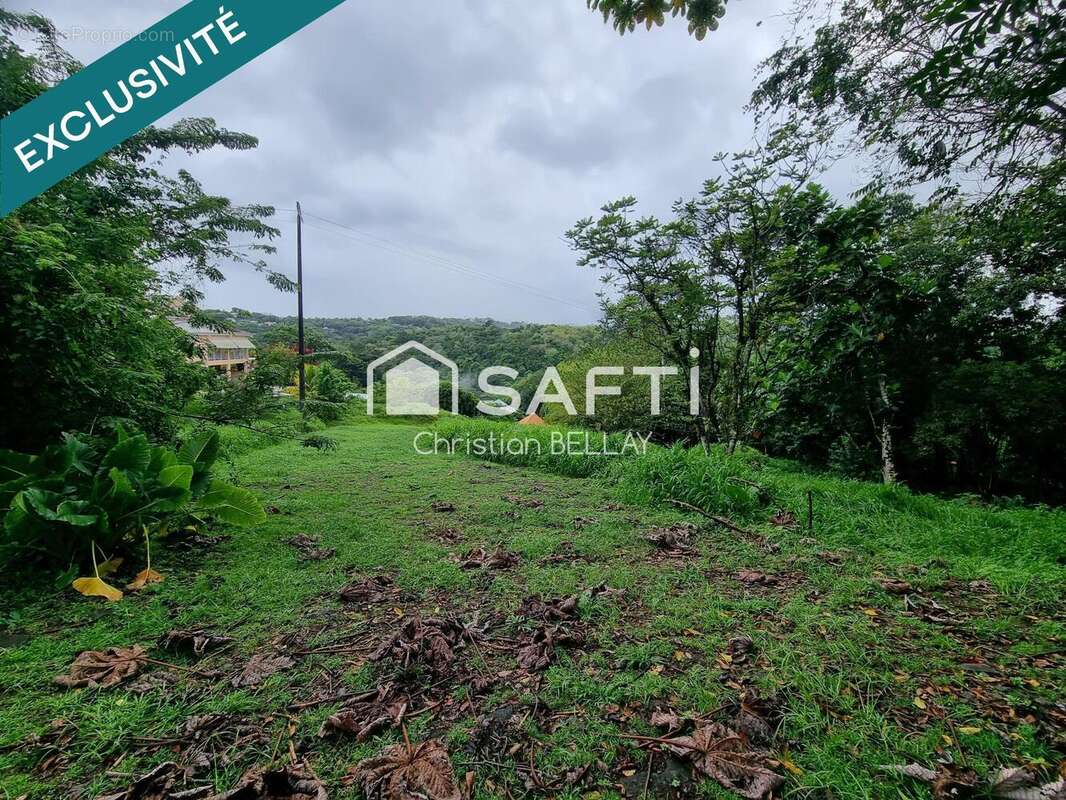 Photo 8 - Terrain à LE LAMENTIN