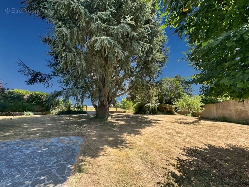 REMAUVILLE (77) Longère authentique de 131 m² sur terrain de 941 m2 - photo 5