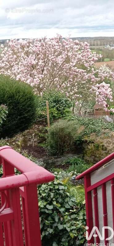 Photo 2 - Maison à BRISSAC-QUINCE