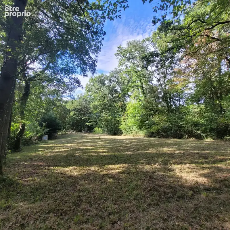 Septeuil - terrain à bâtir de 1300 m2 viabilisé. - photo 3