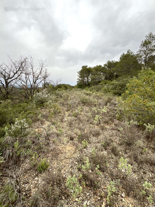 Terrain à SAINT-CHINIAN
