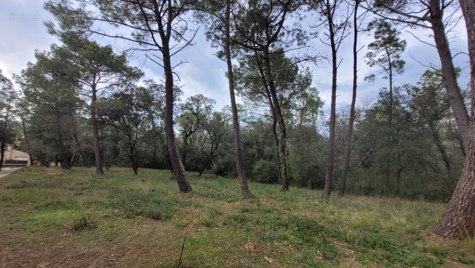 Terrain à SUZE-LA-ROUSSE