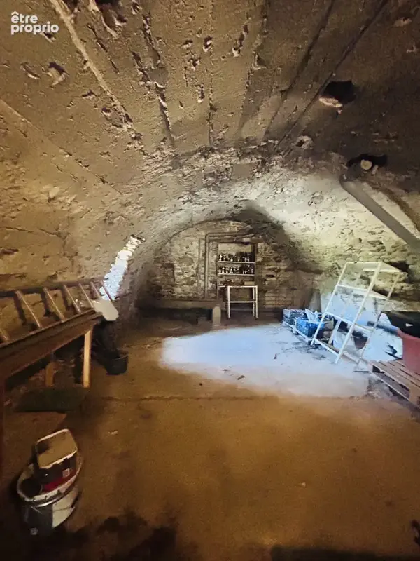 En Cévennes, Maison rénovée, à vendre - photo 16