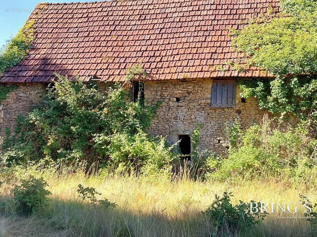 Maison 63 m² à Le Buisson-De-Cadouin  - photo 4