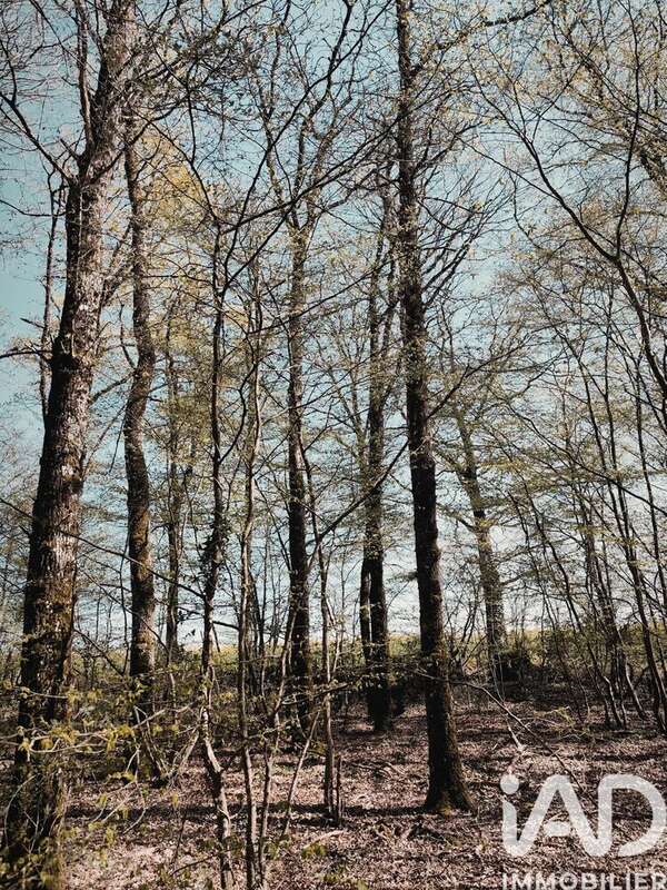 Photo 3 - Terrain à CHAMBEUGLE