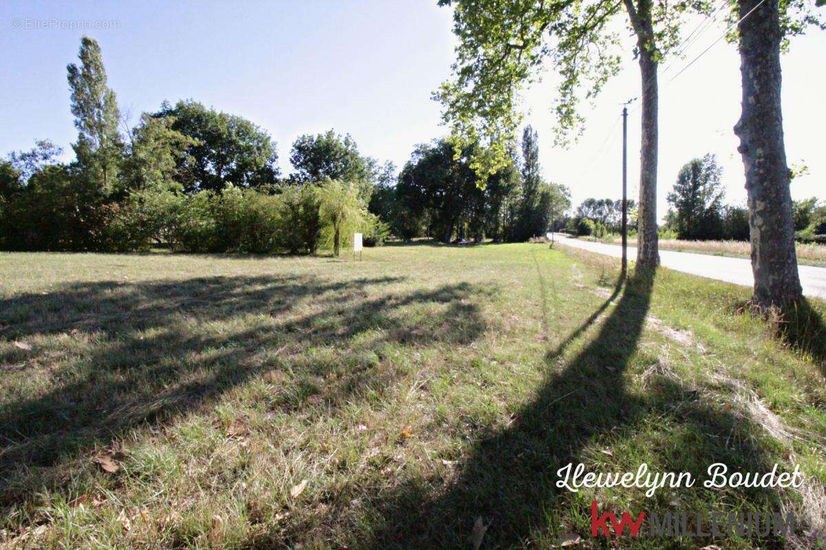 Terrain à BRIATEXTE