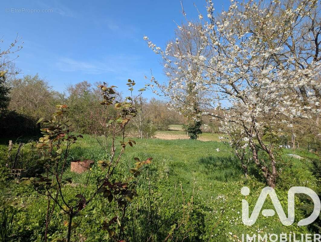 Photo 7 - Maison à FONTENILLES