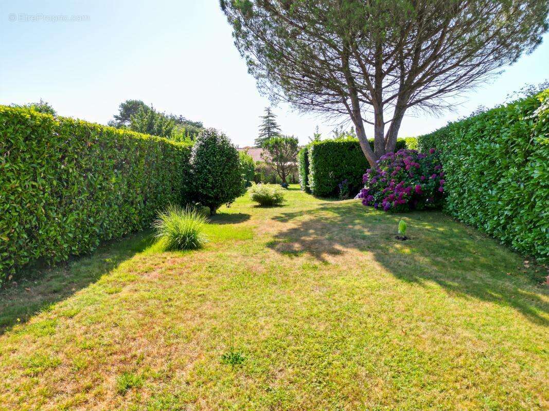 Maison 190 m² à Tosse  - photo 19