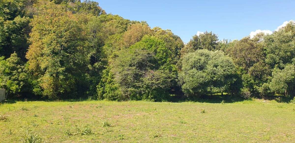 Terrain à SERRA-DI-FIUMORBO