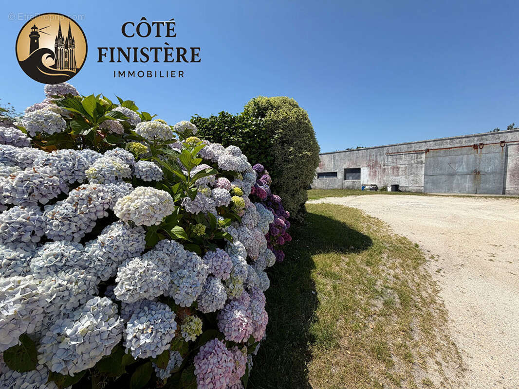 Ensemble immobilier avec hangar ! - photo 3