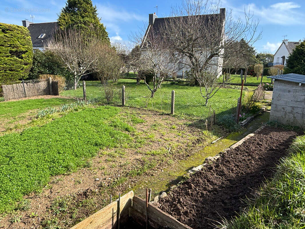 Terrain à CLOHARS-CARNOET