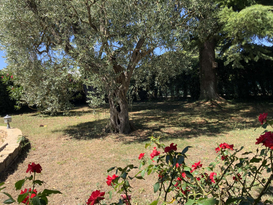 Villa cossue située à Uzès avec terrain de 1400 m2 avec piscine. - photo 7