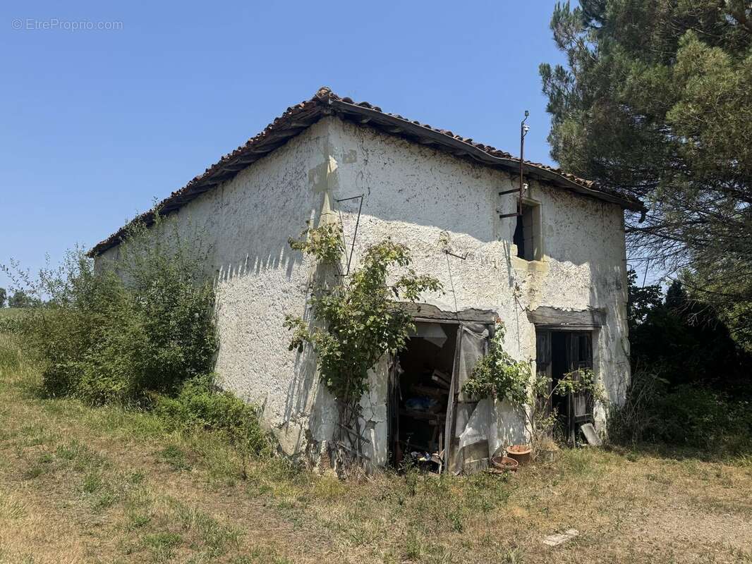 Maison 363 m² à Hagetmau  - photo 2
