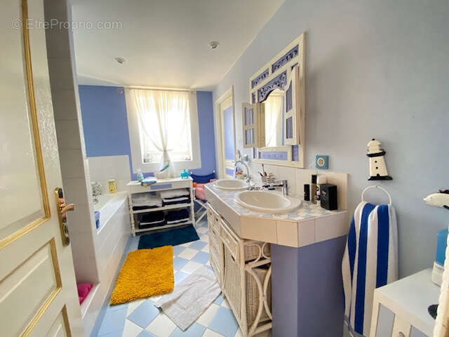 Maison à CHAINTREAUX