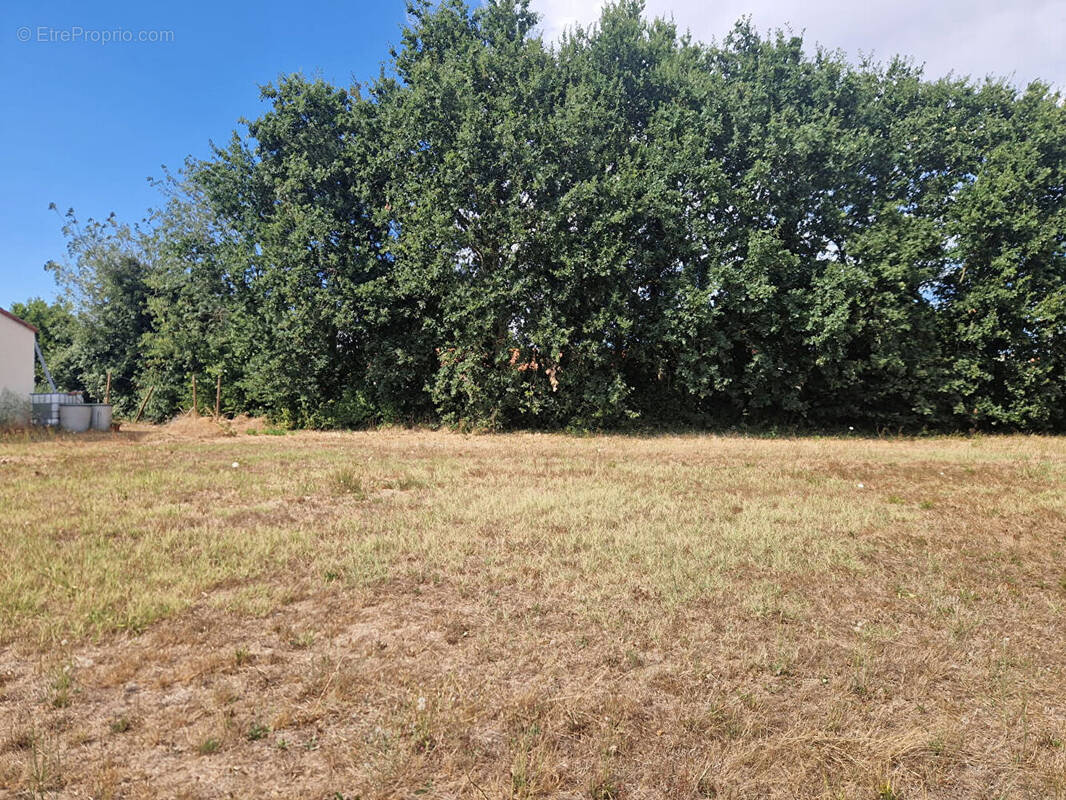 Photo Terrain à Challans au prix de 81 000€
