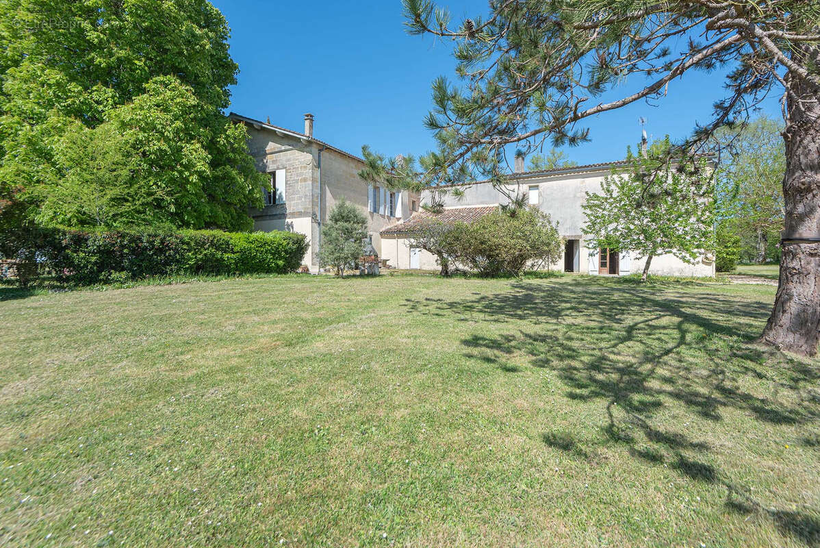 Ancien chateau viticole - potentiel 585 m2 surface habitable - 7 hectares - photo 7