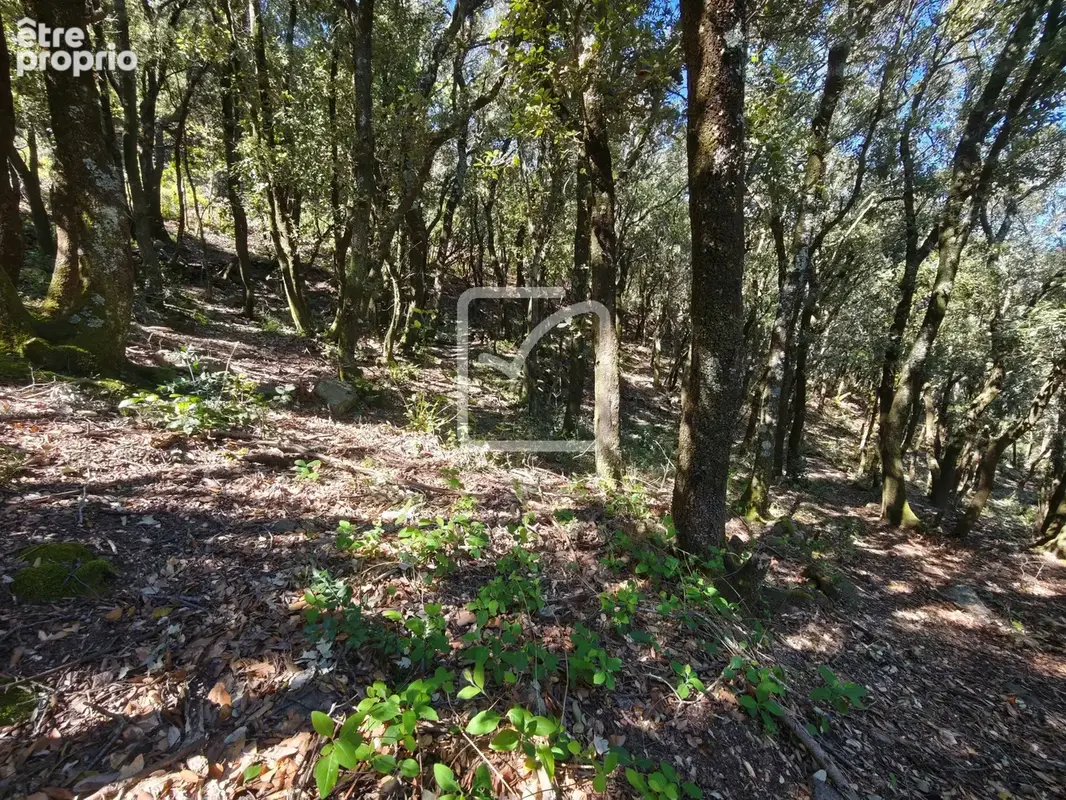 Beau et grand terrain constructible environnement nature! - photo 4