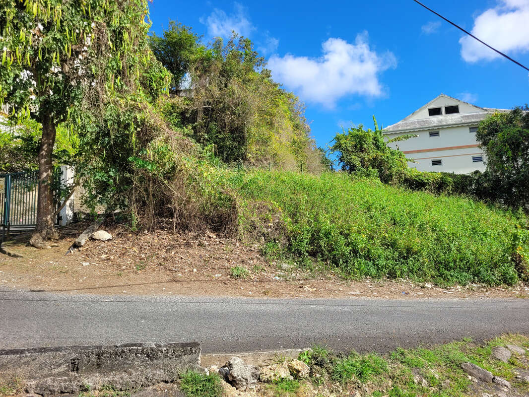 Terrain à LES ABYMES