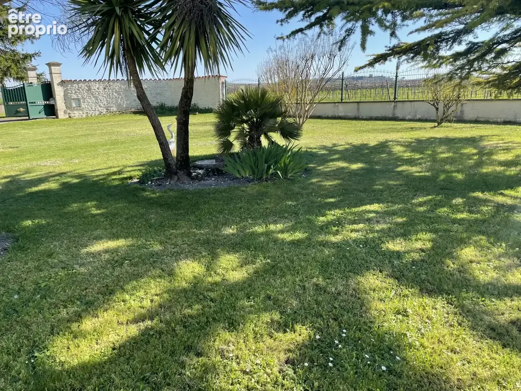 Segonzac exclusivite propriete de 205 m2 sur 2300 m2 de terrain plus 180m2 de bati a renover - photo 5