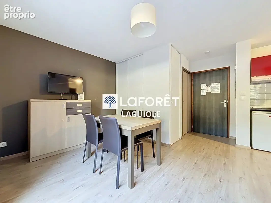 Appartement Entraygues Sur Truyere 2 pièce(s) 35 m2 - photo 3