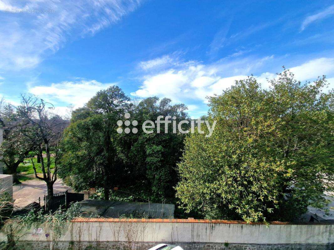 Appartement - photo 7