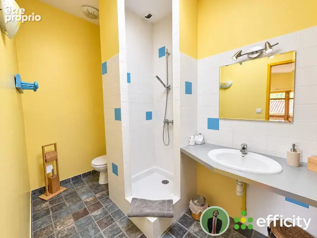 Maison 13 pièces 320 m² à vendre à Lagnieu (01150) - photo 20