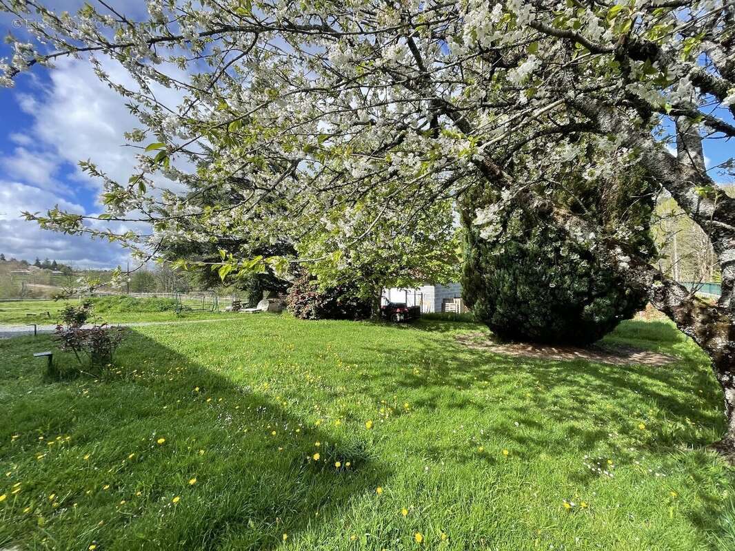Maison à SAINT-YRIEIX-LA-PERCHE
