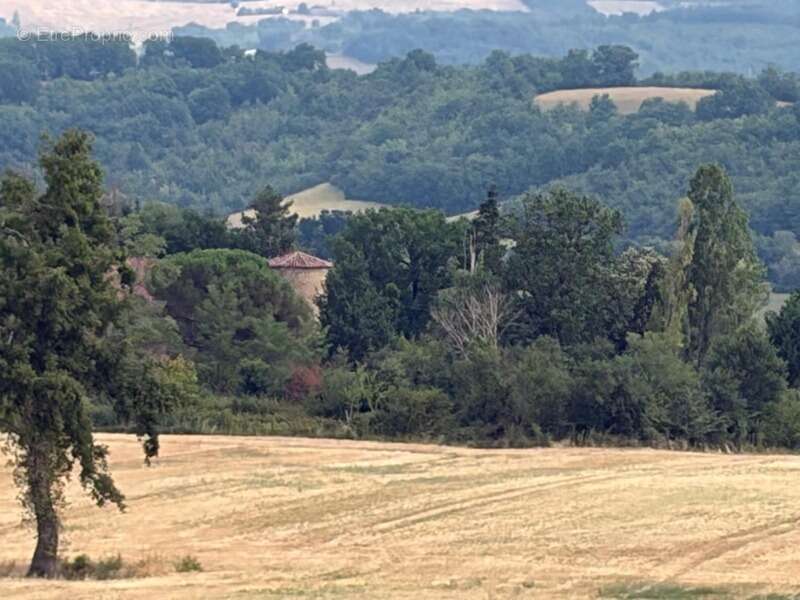 MARCIAC(32): ancienne SEIGNEURIE avec BEAU CHATEAU XIV sur 3,5ha, cachée, au bout du chemin, sans voisin, en campagne, 500m2 hab - photo 18