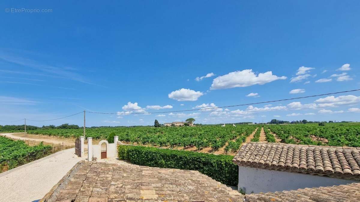 Mas d’exception au cœur des vignes — gallician, proche de vauvert - photo 14