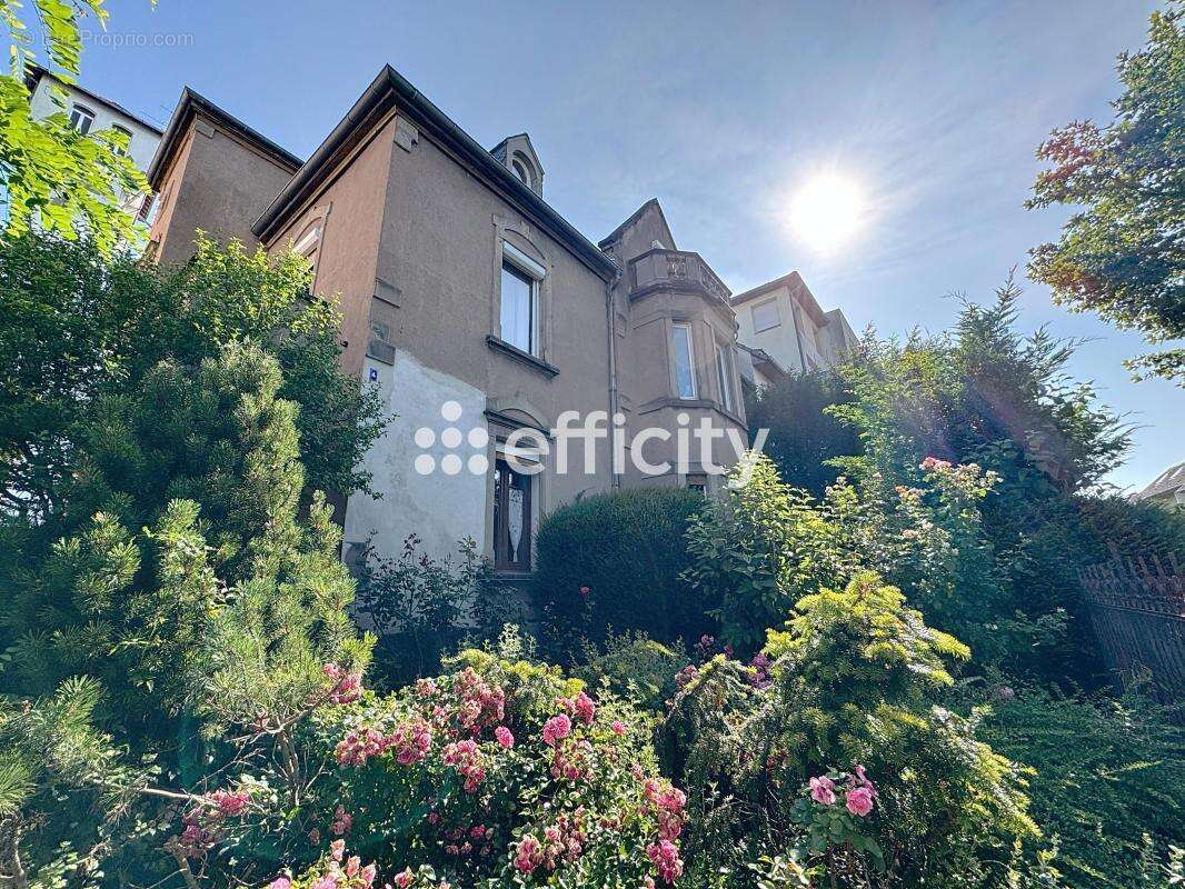 Appartement à SCHILTIGHEIM