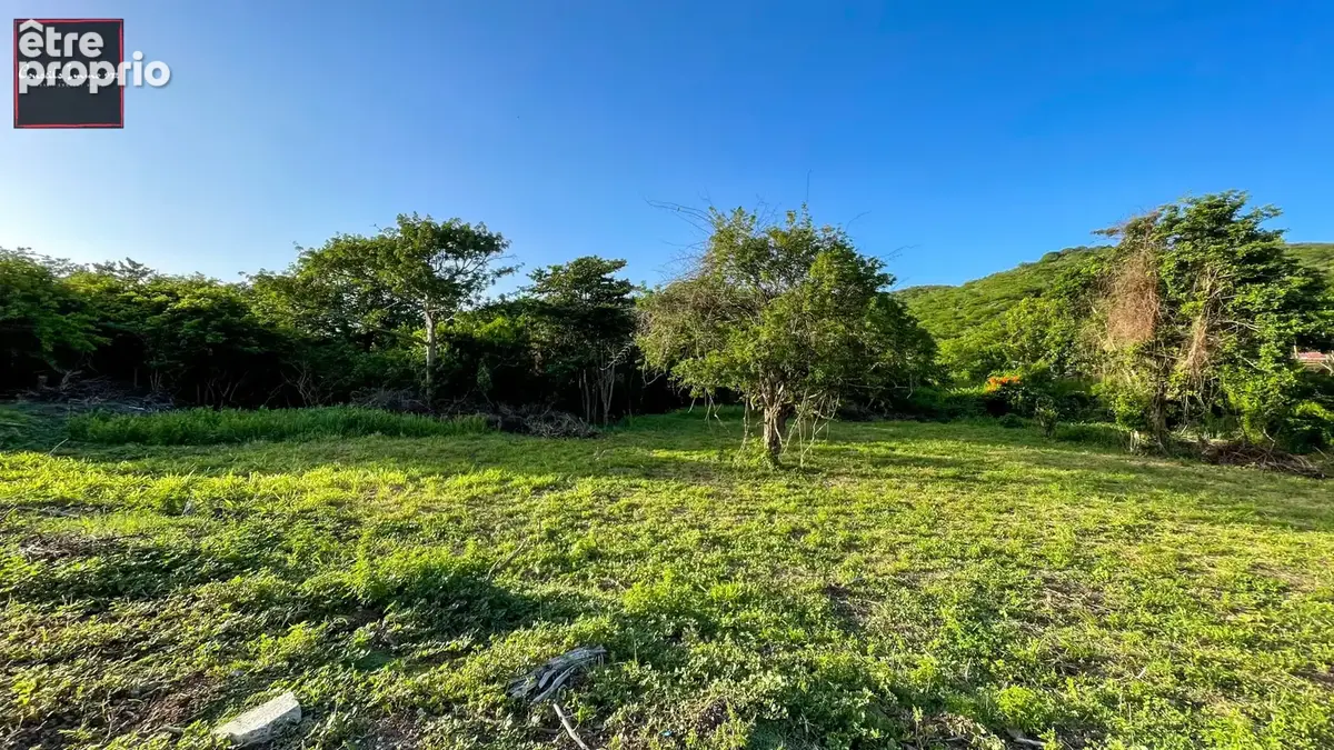 Terrain de 1 090 m2 à vendre - Sainte-Anne - photo 9