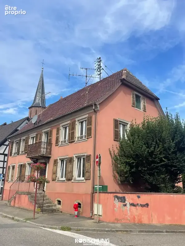 DANNEMARIE : Maison individuelle avec 2 appartements + dépendance - photo 9