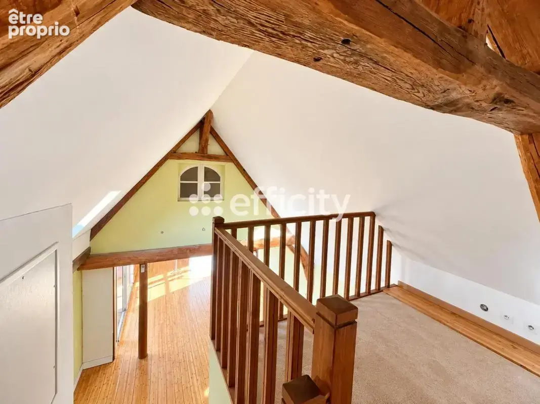 Duplex/Triplex - photo 9