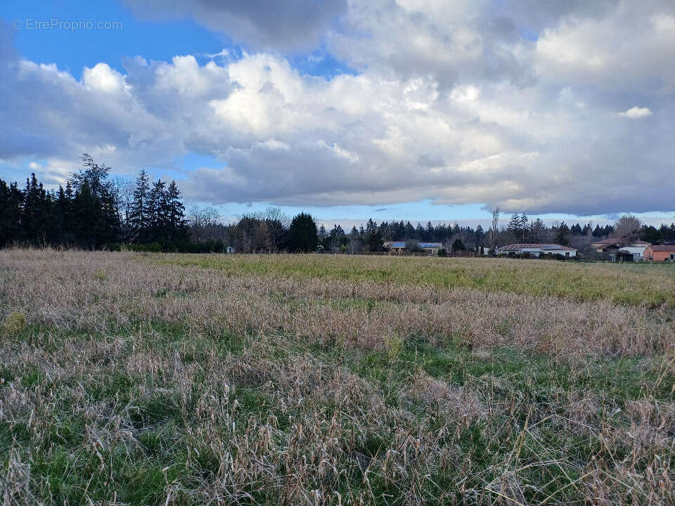 Terrain à LES ISSARDS