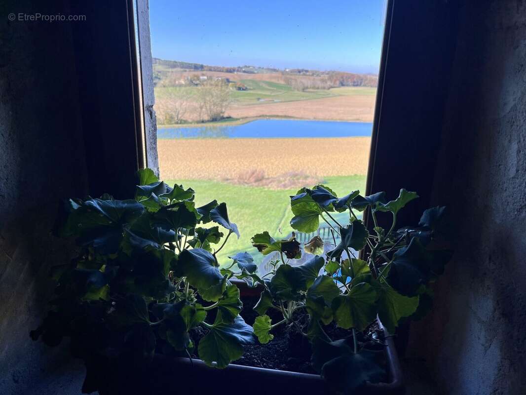 Maison à PUYSSERAMPION