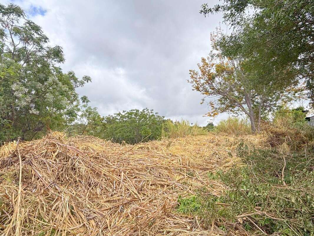 Terrain à SAINT-PAUL