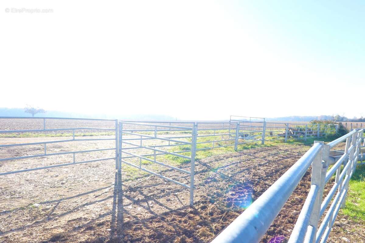 Commerce à SAINT-JEAN-DE-LOSNE