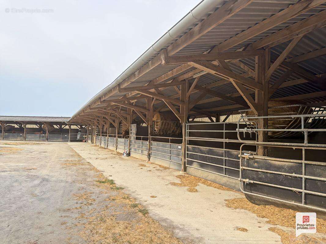 Propriété equestre Erdre En Anjou 7 pièce(s) 169 m2 - photo 3