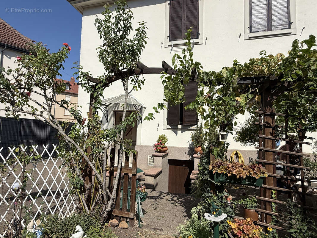 Mulhouse maison 6 pieces au calme de 120 m2 avec comble aménageable sur 2.88 ares clos et arboré - photo 6