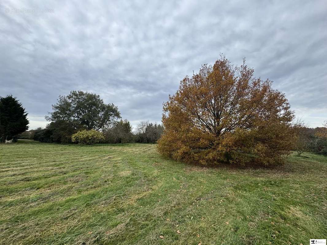 Terrain à GOUTEVERNISSE